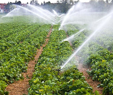 Agriculture & Irrigation