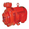 MTP End Suction Motor Pumps