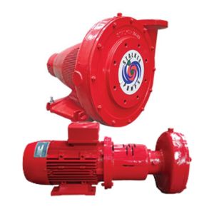 Bareshaft Pumps